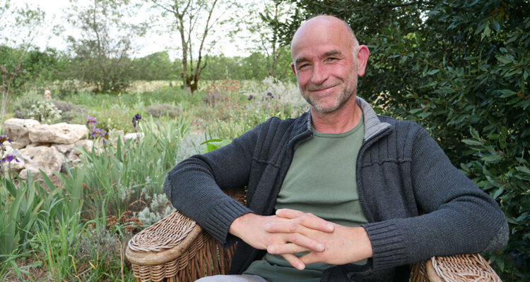 Bruno et les petites bestioles