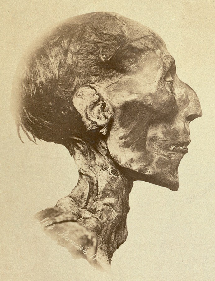 Ramses_II_-_The_mummy - Emil Brugsch Momie de Ramsès II