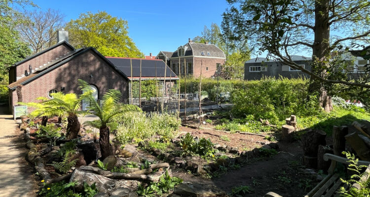 Hortus Botanicus