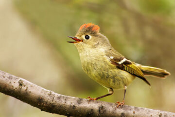 Calendrier lunaire du 17 aout