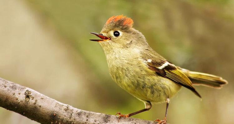 Calendrier lunaire du 17 aout