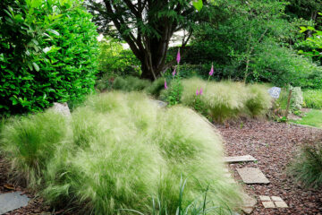 Jardins de la Mansonière dans l'Orne