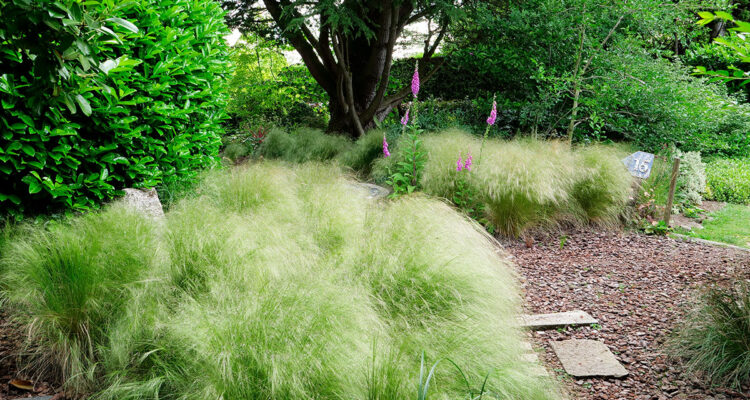 Jardins de la Mansonière dans l'Orne