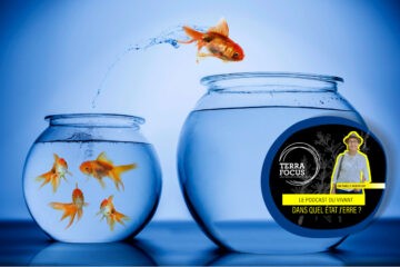 Basculons, avec Tanguy Descamps