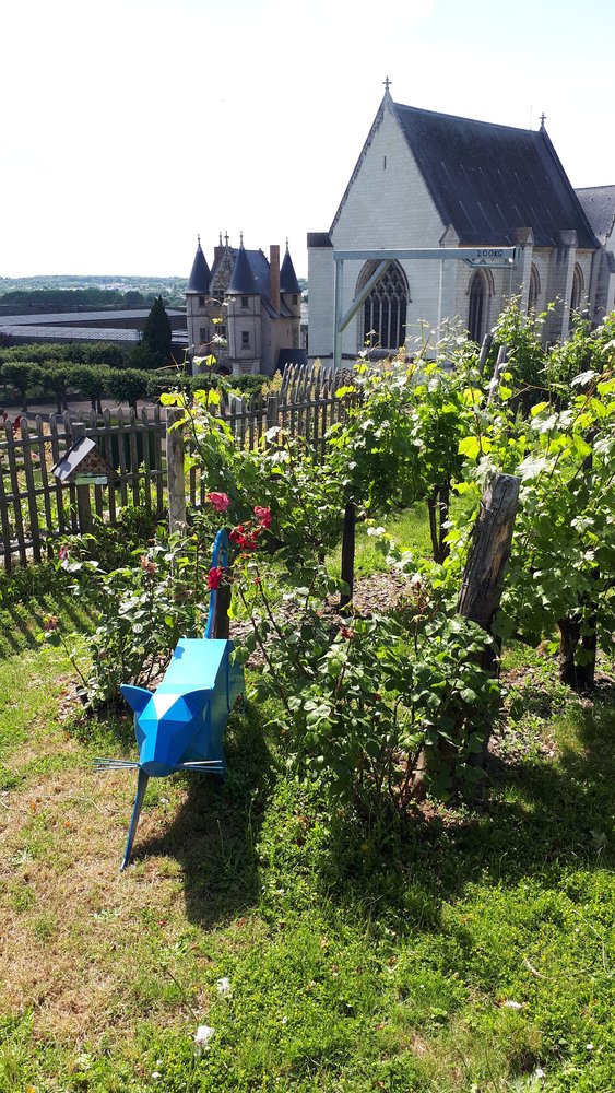 angers21-r90-9d095 ©ruedesboulets