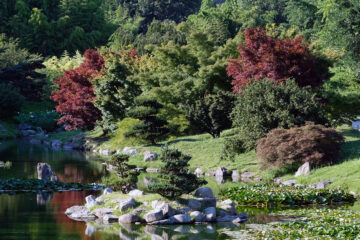 Bambouseraie des Cévennes