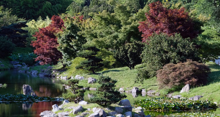 Bambouseraie des Cévennes