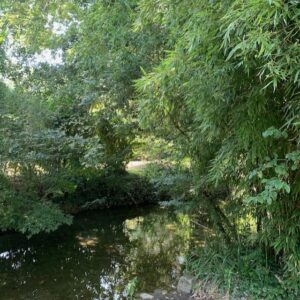 IMG_3429 Basculer dans le Gers : en permaculture l'eau est nécessaire aussi