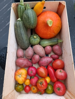 les legumes de leo-Edit les légumes de les