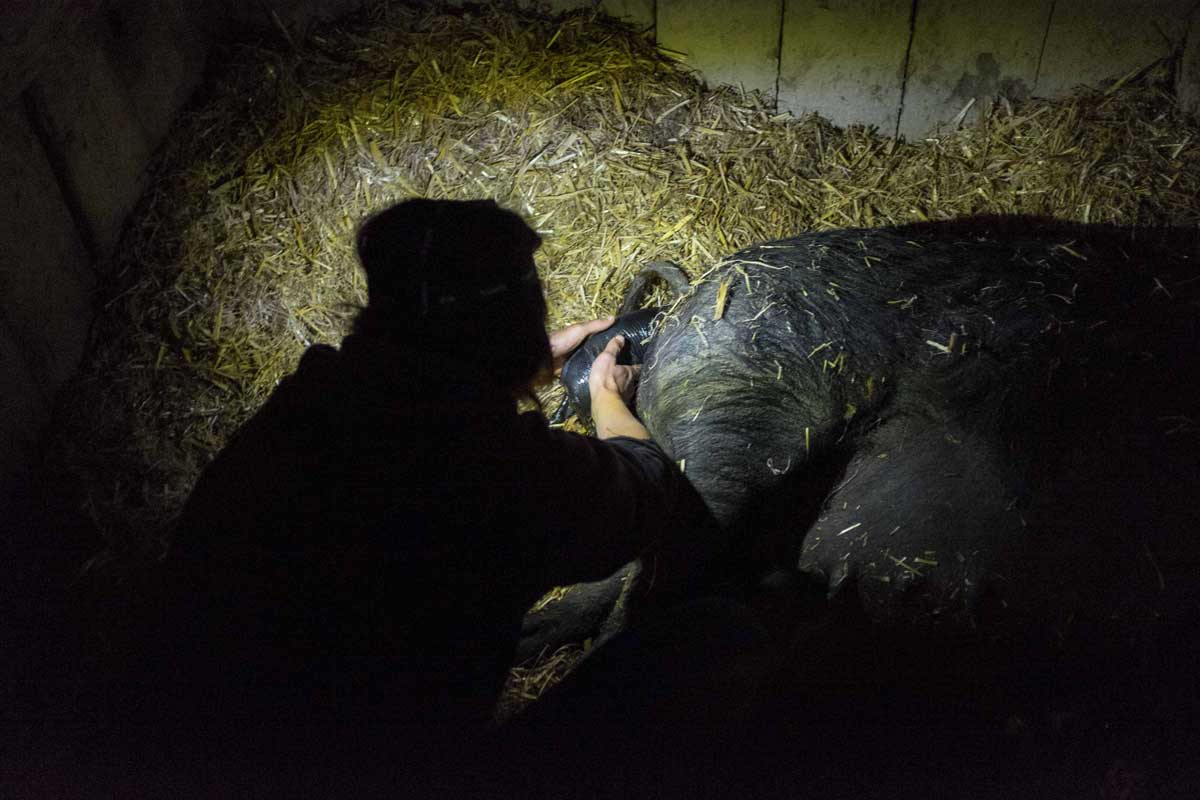 Noémie et la naissance