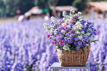 bouquet frais