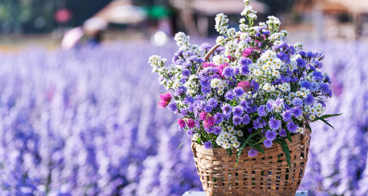 bouquet frais