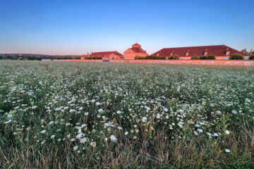 Saline royale Arc-et-Senans