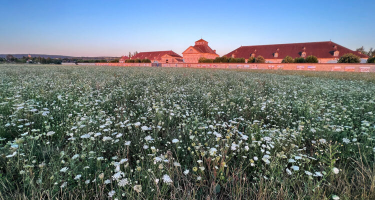 Saline royale Arc-et-Senans