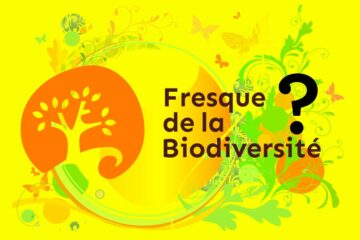 Fresque de la biodiversité