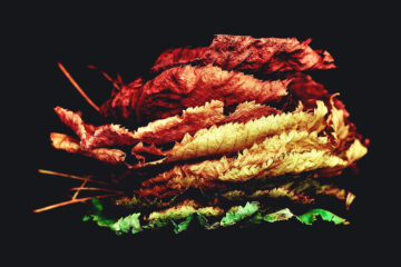 Feuilles d'automne