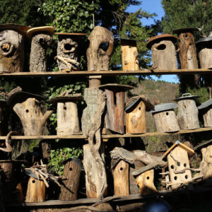 IMG_0059 Nichoirs en bois