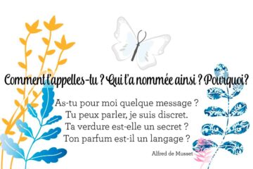 le nom des plantes