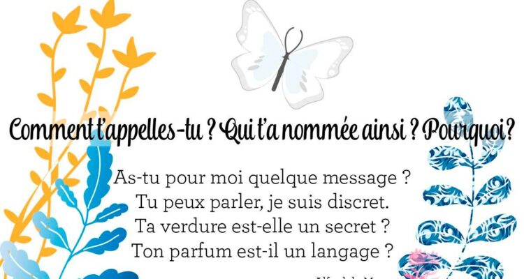 le nom des plantes