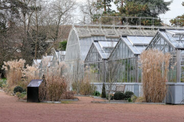 Serres du jardin des plantes Rouen