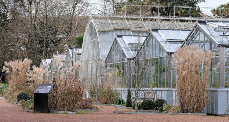 Serres du jardin des plantes Rouen