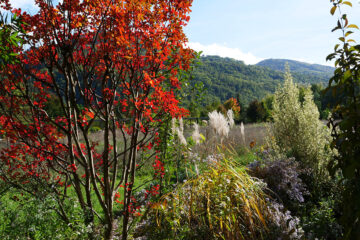 Au Mas de Béalières