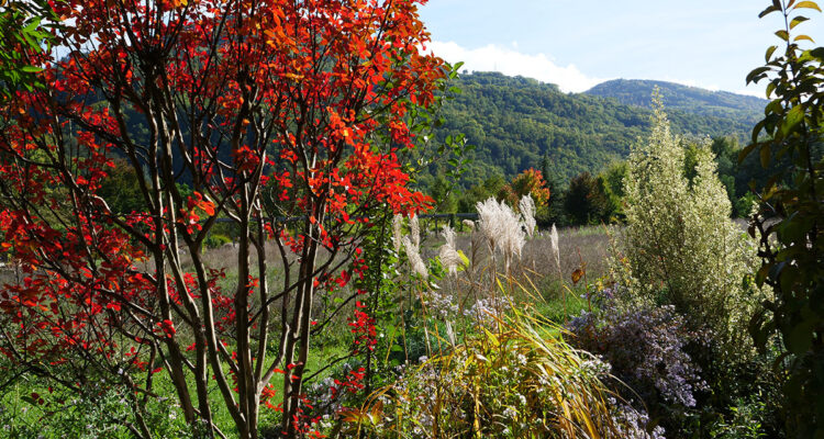 Au Mas de Béalières