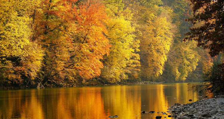 paysage d'automne