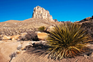 Pac national de Guadalupe
