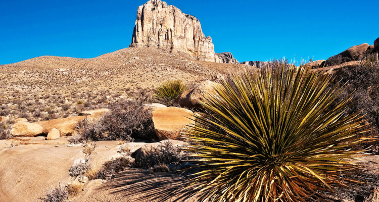 Pac national de Guadalupe