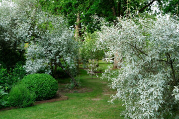 Les jardins de la Mansonière