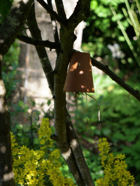 abri perce oreilles-Edit ©Isabelle Morand