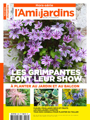 ADJH_0229_COUV-V8-IM_300px ADJH_0229_COUV-V8-IM_300px