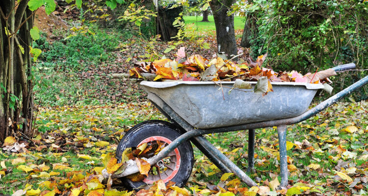 faire un terreau de feuilles
