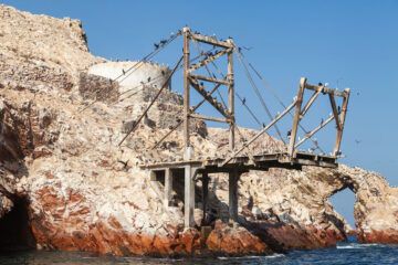 Guano sur îles Ballestas