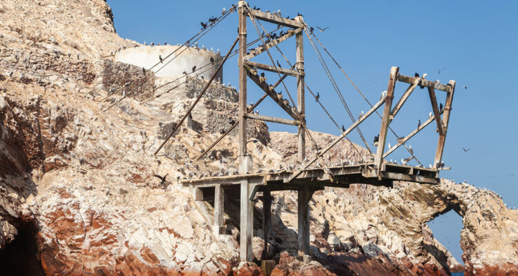 Guano sur îles Ballestas