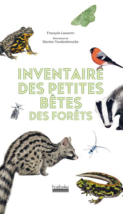 Inventaire-des-petites-betes-des-forets Inventaire des petites bêtes des forêts, livre de Noël