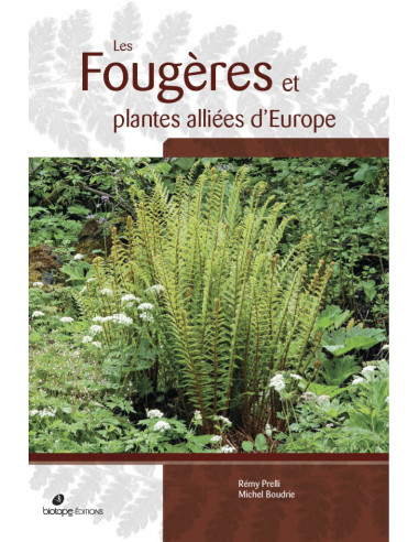 les-fougeres-et-plantes-alliees-d-europe les-fougeres-et-plantes-alliees-d-europe