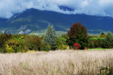 Le mas des Béalières