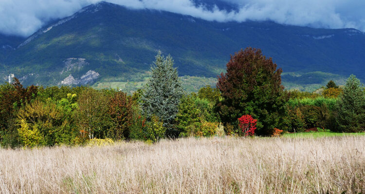 Le mas des Béalières