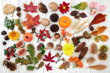 tableau d'automne