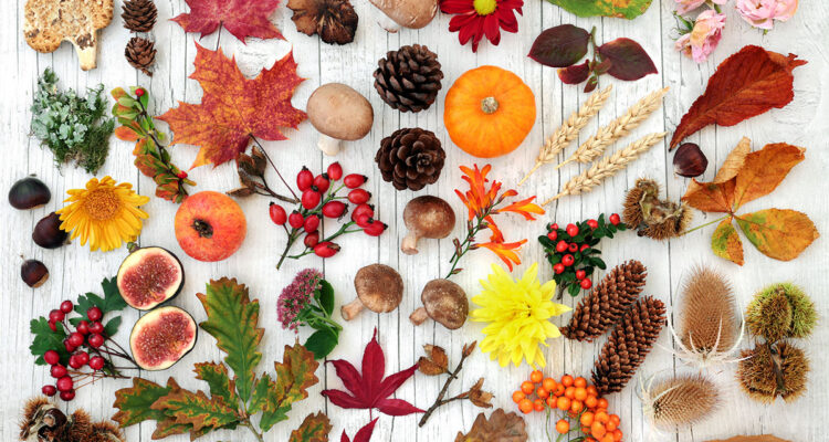 tableau d'automne