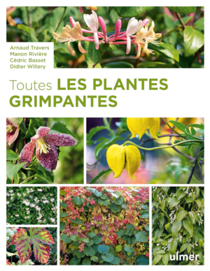 Toutes les plantes grimpantes-Edit ouvrage Ulmer