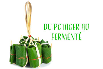 Le tour du Monde de la fermentation