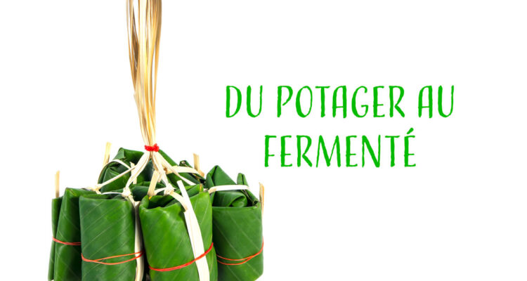 Le tour du Monde de la fermentation