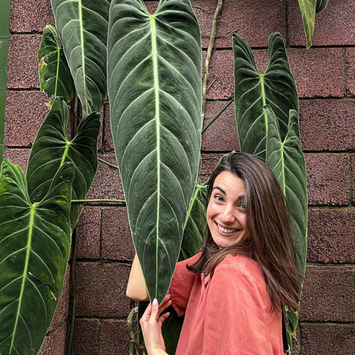 Laura-en-voyage Laura de Plant and Stories