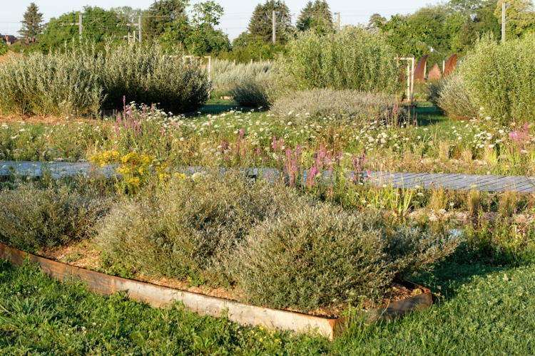 Saline royale Arc et Senans-by Didier Hirsch_XH14712-Edit Arc-et-Senans