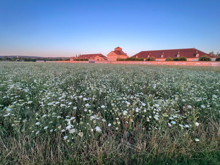 Saline royale Arc et Senans depuis prairie d Un cercle immense-by Didier Hirsch-IMG_7024-Edit Arc et senans, prairie sauvage