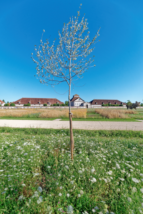 Saline royale Arc et Senans depuis Un cercle immense--by Didier Hirsch_XT33900-Edit arc-et-senans