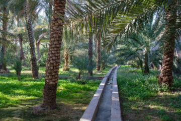oman Aflaj